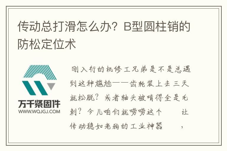 傳動總打滑怎么辦？B型圓柱銷的防松定位術(shù)