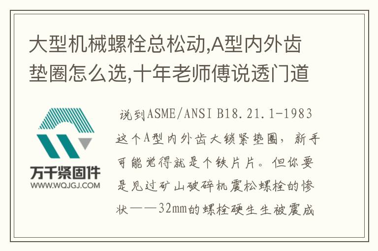 大型機械螺栓總松動,A型內(nèi)外齒墊圈怎么選,十年老師傅說透門道
