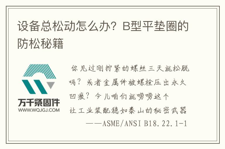 設(shè)備總松動(dòng)怎么辦？B型平墊圈的防松秘籍