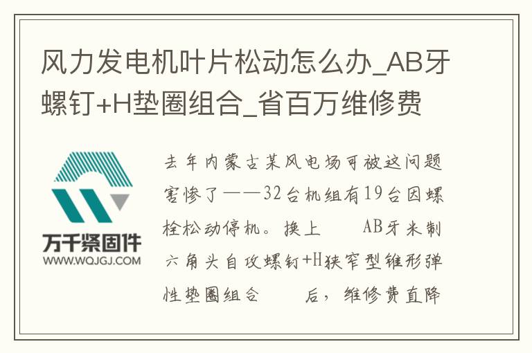 風(fēng)力發(fā)電機(jī)葉片松動(dòng)怎么辦_AB牙螺釘+H墊圈組合_省百萬維修費(fèi)