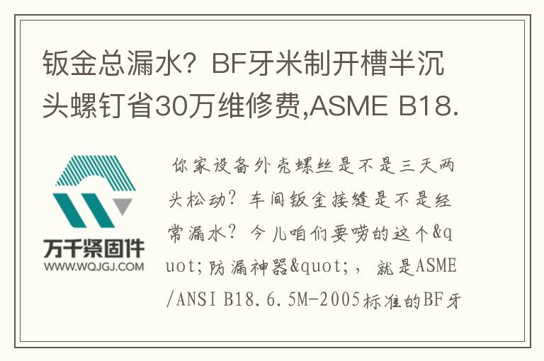 鈑金總漏水？BF牙米制開槽半沉頭螺釘省30萬維修費(fèi),ASME B18.6.5M-2005標(biāo)準(zhǔn)解析,自攻螺釘選購指南