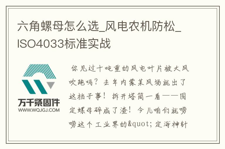 六角螺母怎么選_風(fēng)電農(nóng)機(jī)防松_ISO4033標(biāo)準(zhǔn)實戰(zhàn)