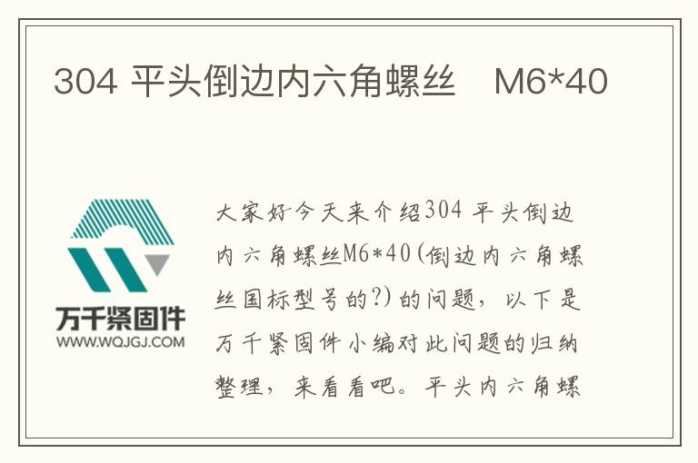 304 平頭倒邊內(nèi)六角螺絲 M6*40