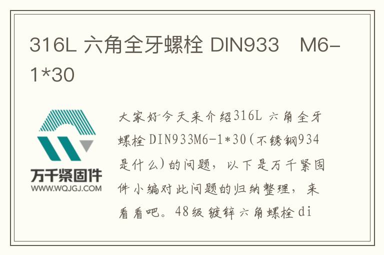 316L 六角全牙螺栓 DIN933 M6-1*30