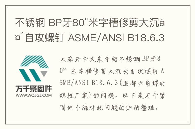不銹鋼 BP牙80°米字槽修剪大沉頭自攻螺釘 ASME/ANSI B18.6.3