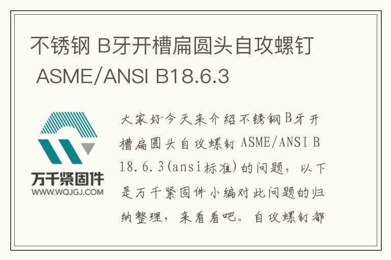 不銹鋼 B牙開槽扁圓頭自攻螺釘 ASME/ANSI B18.6.3
