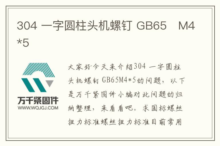 304 一字圓柱頭機(jī)螺釘 GB65 M4*5