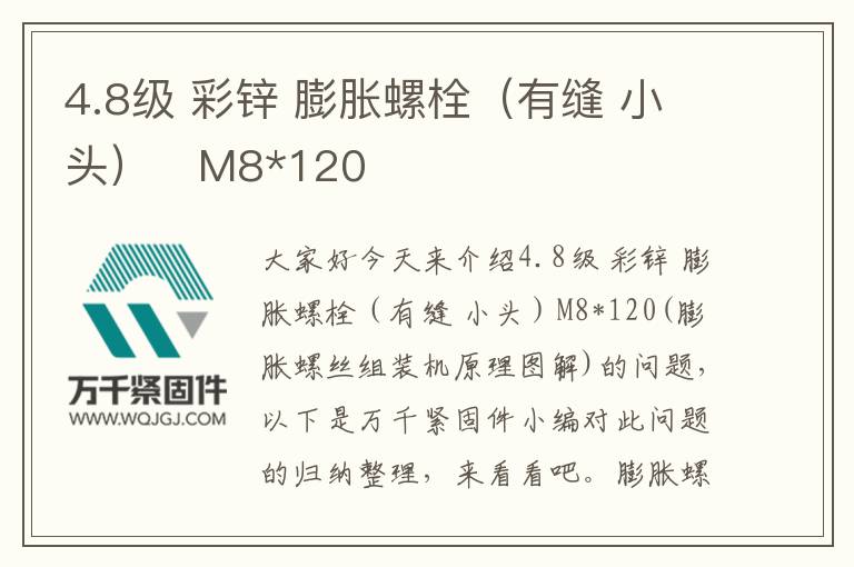 4.8級 彩鋅 膨脹螺栓(有縫 小頭) M8*120