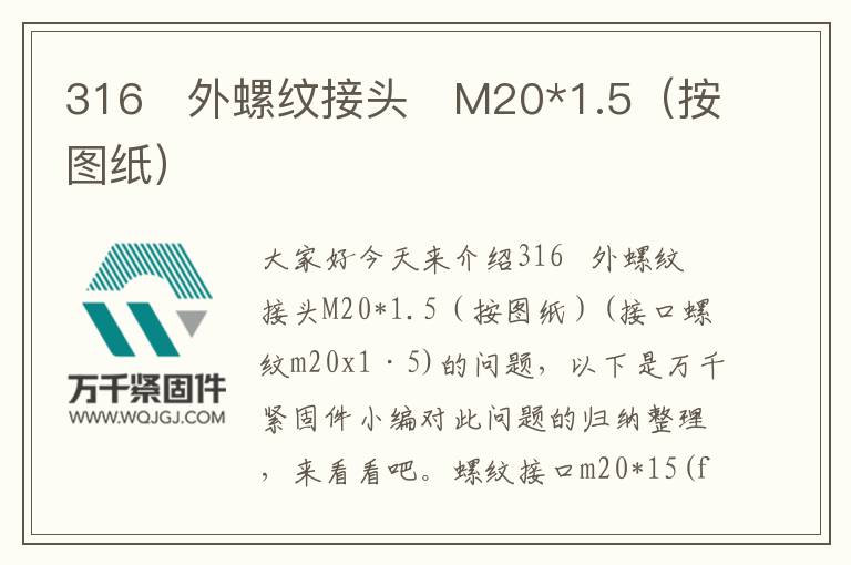 316 外螺紋接頭 M20*1.5(按圖紙)