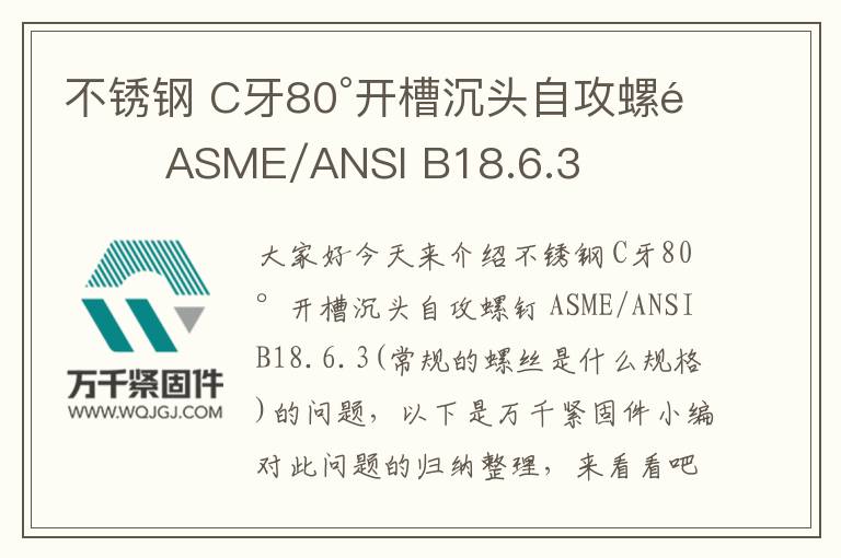 不銹鋼 C牙80°開槽沉頭自攻螺釘 ASME/ANSI B18.6.3