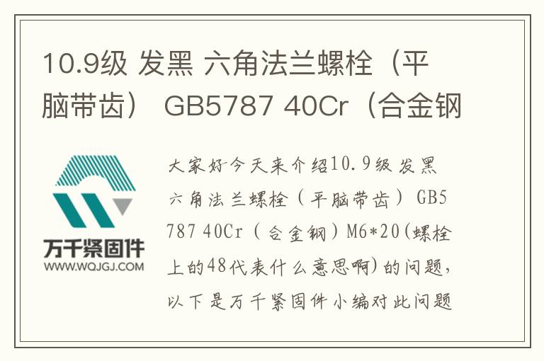 10.9級 發(fā)黑 六角法蘭螺栓(平腦帶齒) GB5787 40Cr(合金鋼) M6*20