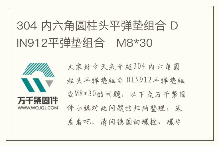 304 內(nèi)六角圓柱頭平彈墊組合 DIN912平彈墊組合 M8*30