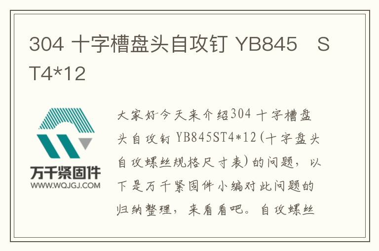 304 十字槽盤頭自攻釘 YB845 ST4*12